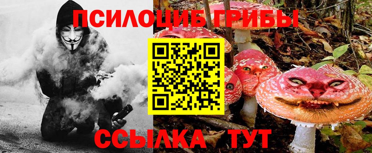 Хабаровск  где купить   Вход с VPN  Псилоцибиновые грибы GOLDEN TEACHER 